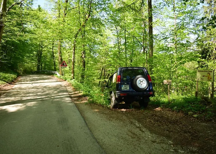 Robinson River Camp *