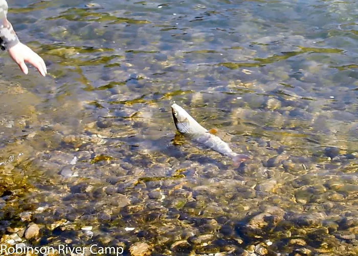 Robinson River Camp Kamp Radovljica